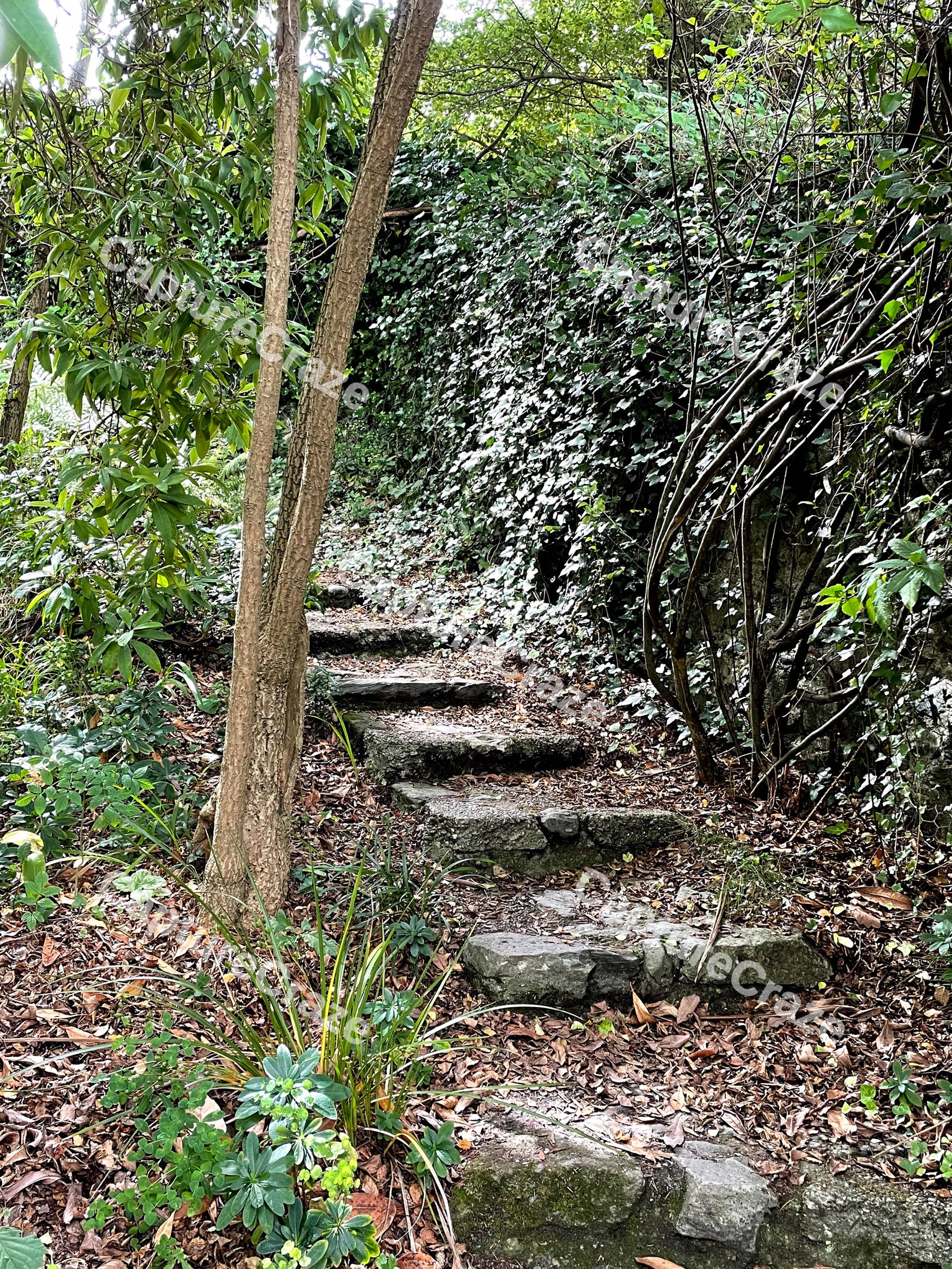 Outside Stone Steps
